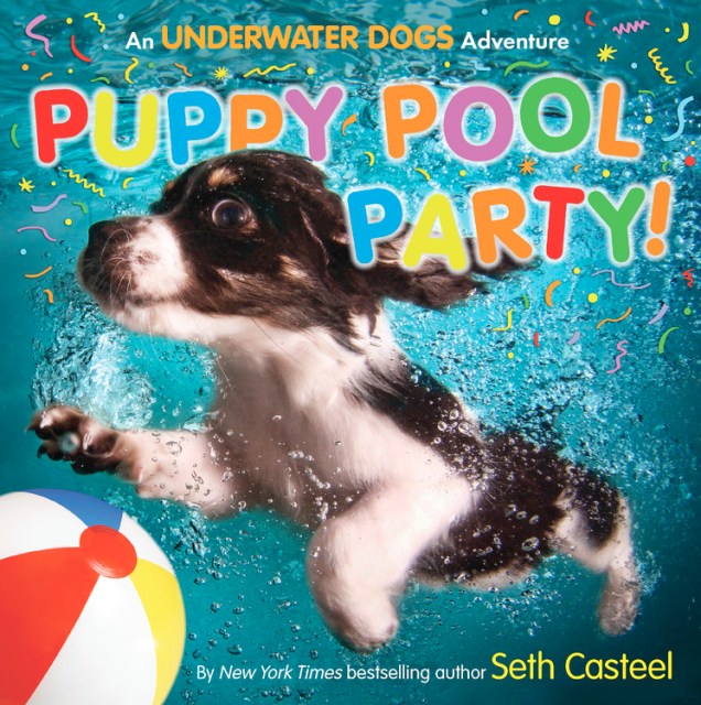 Puppy Pool Party!