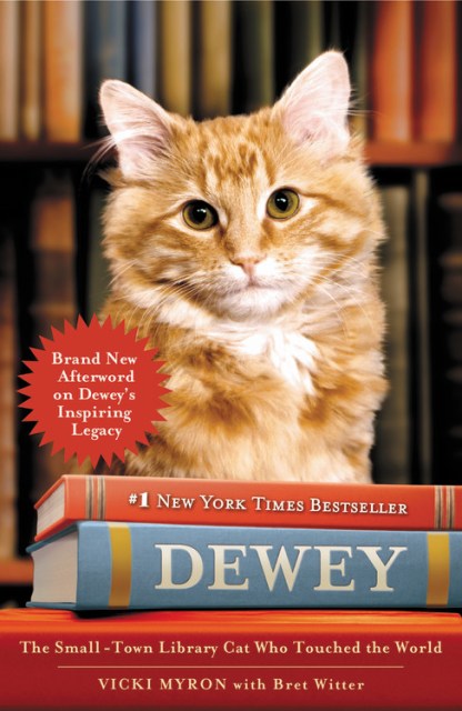 Dewey