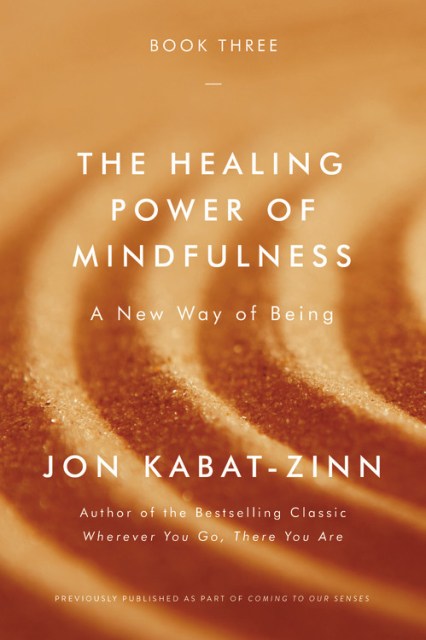 The Healing Power of Mindfulness