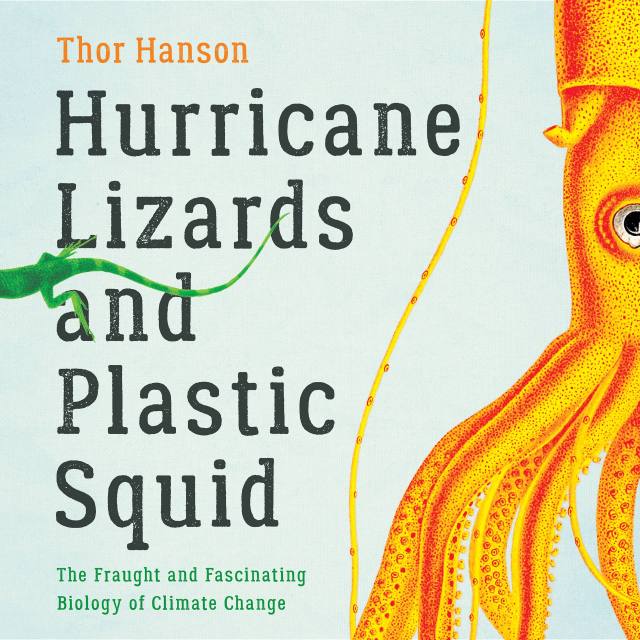 Hurricane Lizards and Plastic Squid