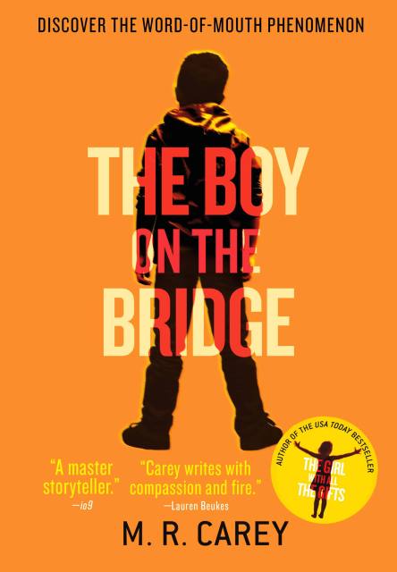 The Boy on the Bridge