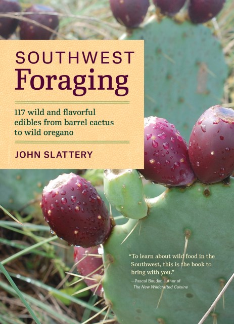 Southwest Foraging