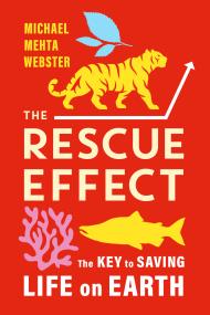 The Rescue Effect