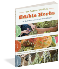 The Beginner's Guide to Edible Herbs